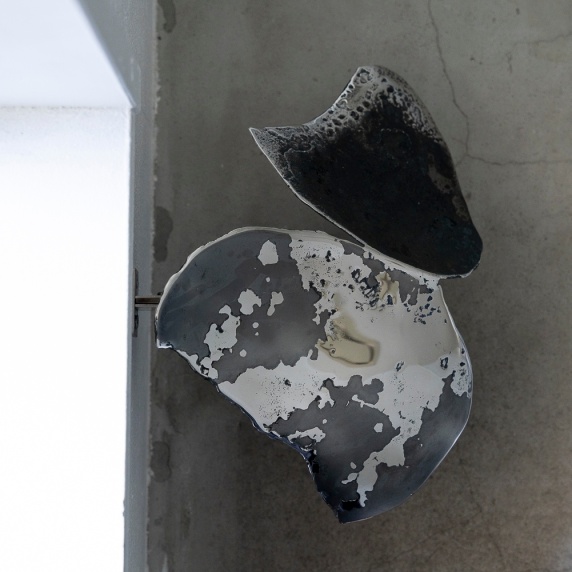 flowers by Aya Sasakura