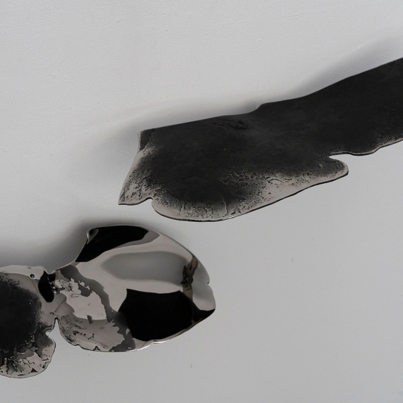 flowers by Aya Sasakura